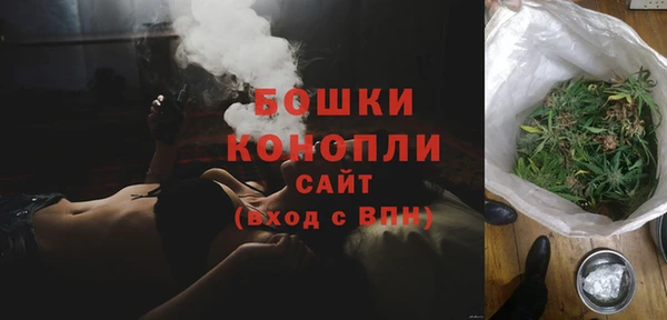 индика Майский