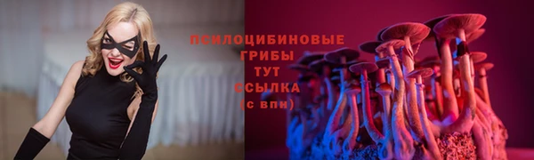 индика Майский