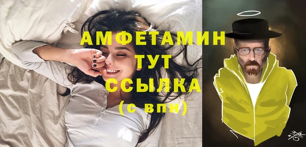 индика Майский