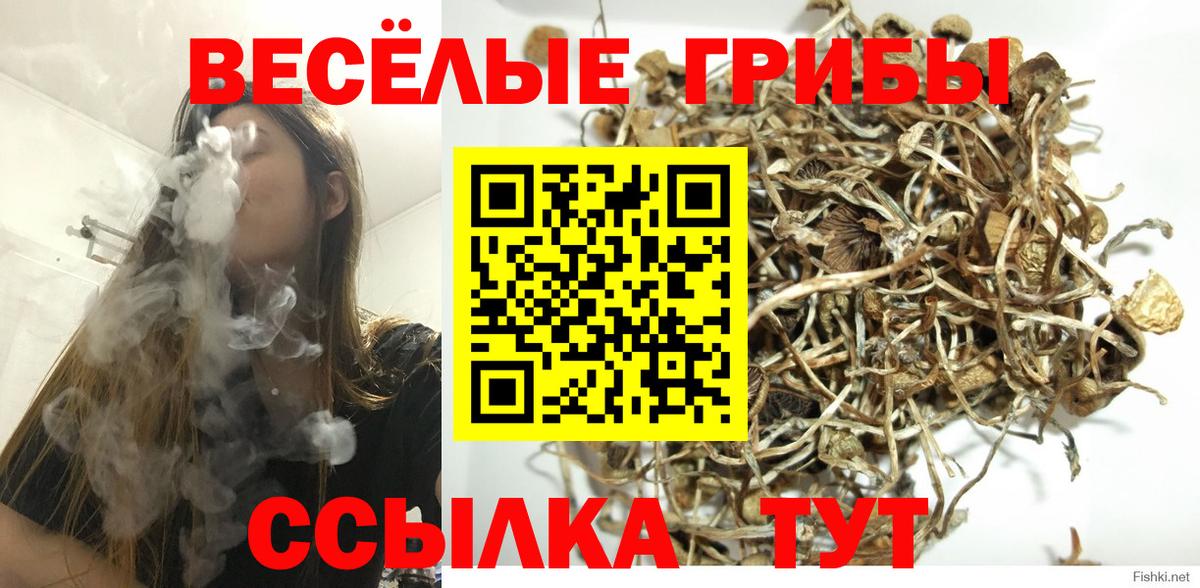 Псилоцибиновые грибы мицелий Северск
