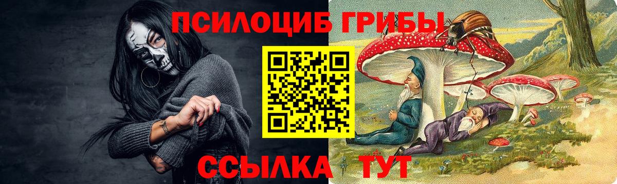 Северск  Галлюциногенные грибы Cubensis  Вход с VPN 